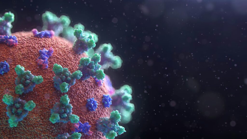 Os antivirais são essenciais no tratamento de infecções como HIV, hepatites e gripe, impedindo a replicação viral e ajudando o organismo a combater a doença.