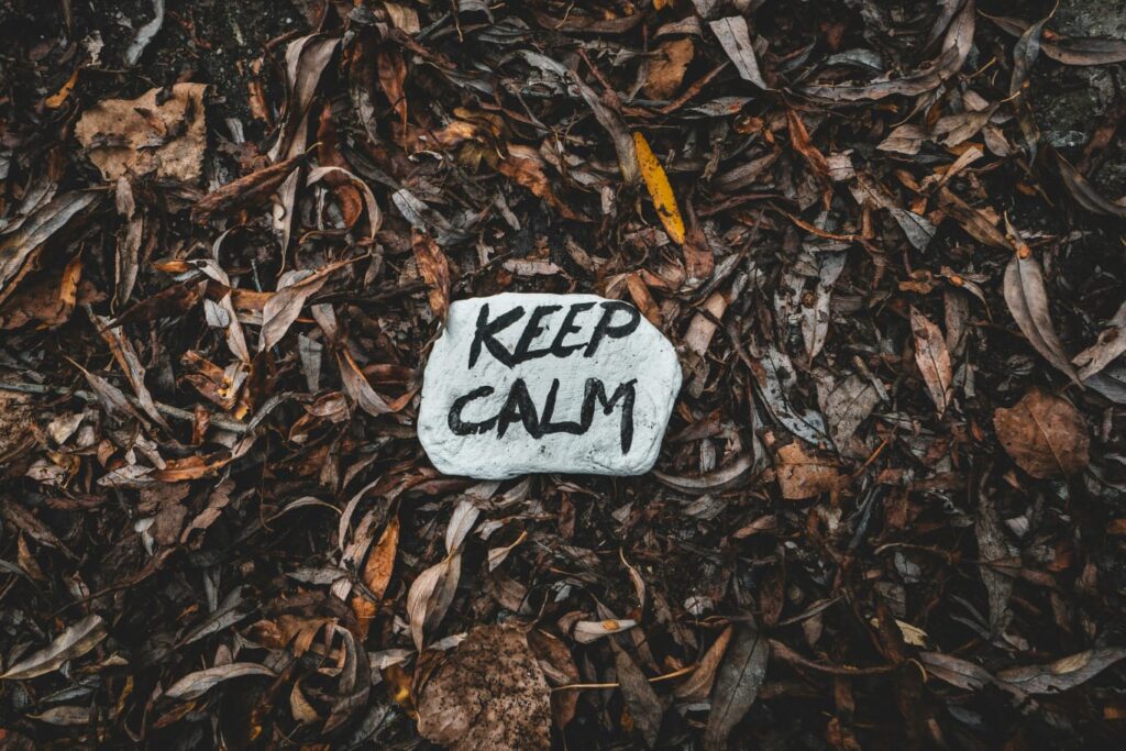 Pedra branca com a frase "keep calm" cercada por vegetação seca.