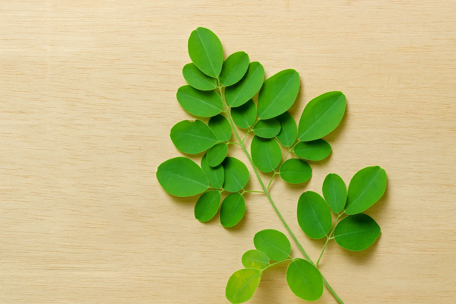 Folhas verdes de moringa sobre superfície de madeira clara, associadas ao tema “Moringa emagrece”.